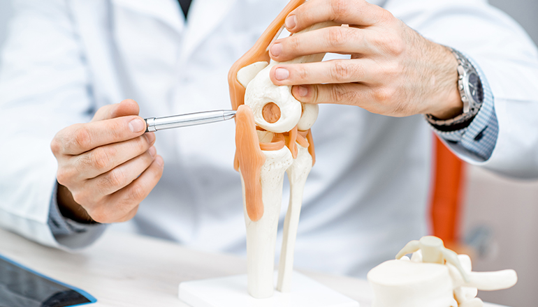 Menisküs Nedir? Belirtileri Nelerdir?